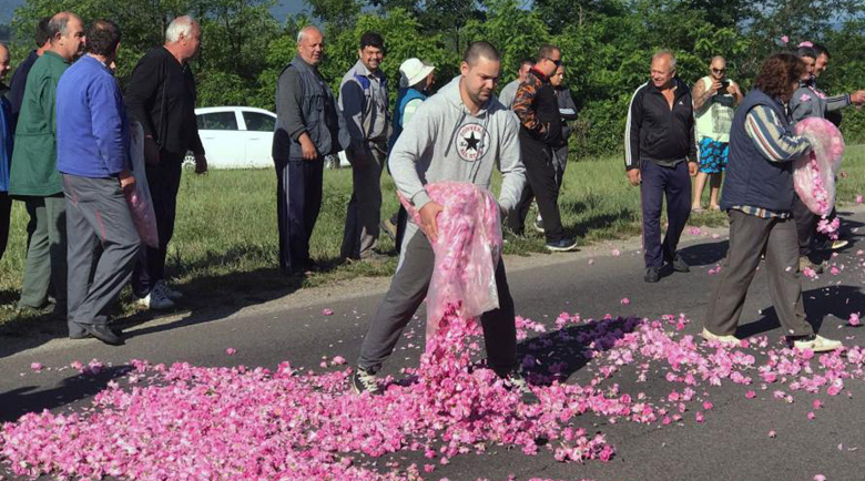 Афганистанска роза подбива цената на БГ маслото